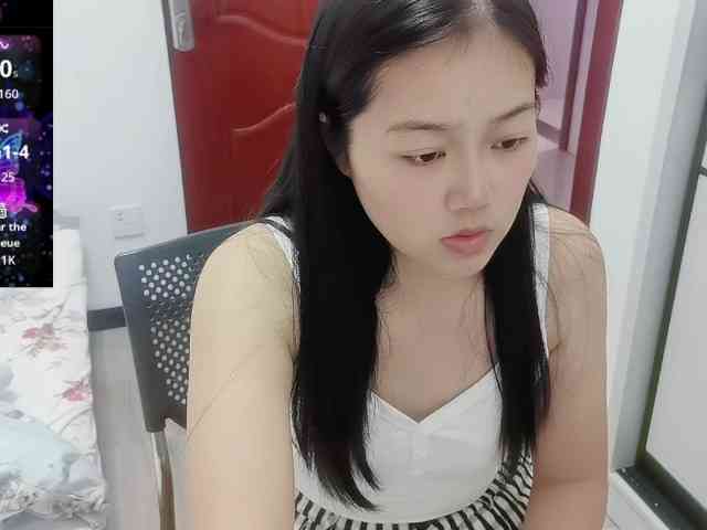 panda-sc231