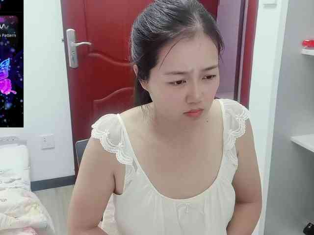 panda-sc231