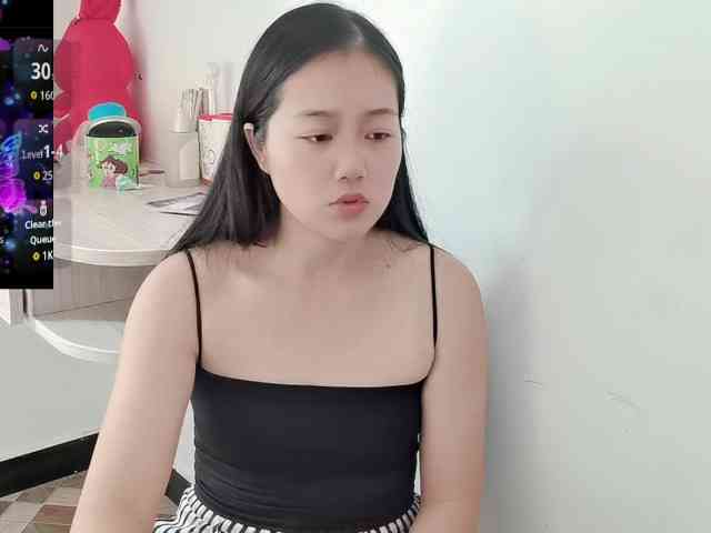panda-sc231