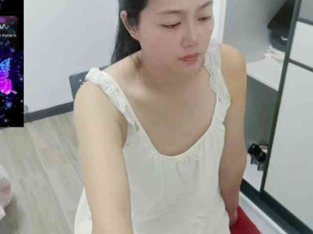 panda-sc231