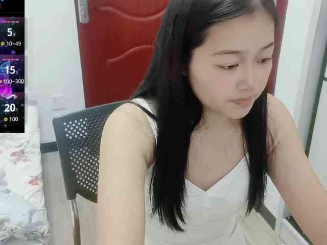 panda-sc231