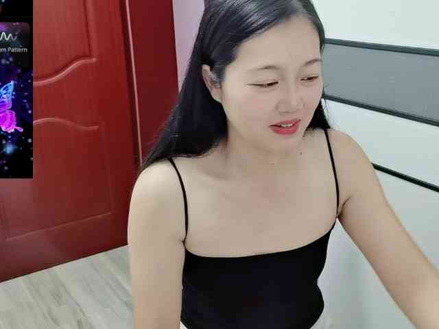 panda-sc231