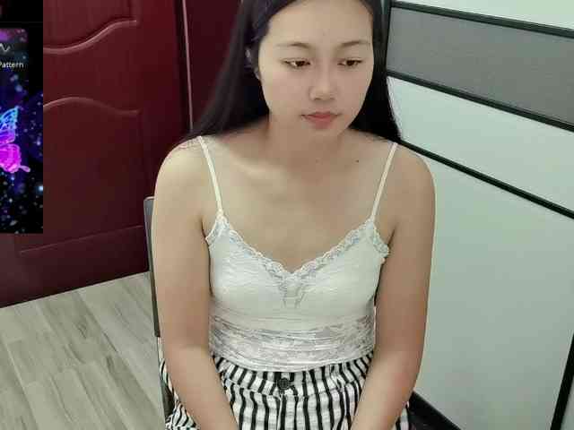 panda-sc231