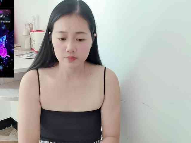 panda-sc231