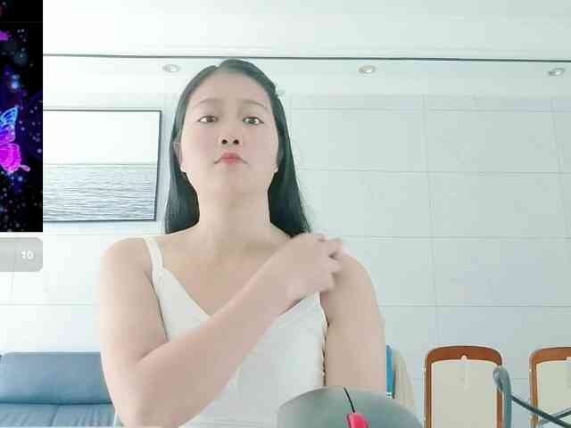 panda-sc231