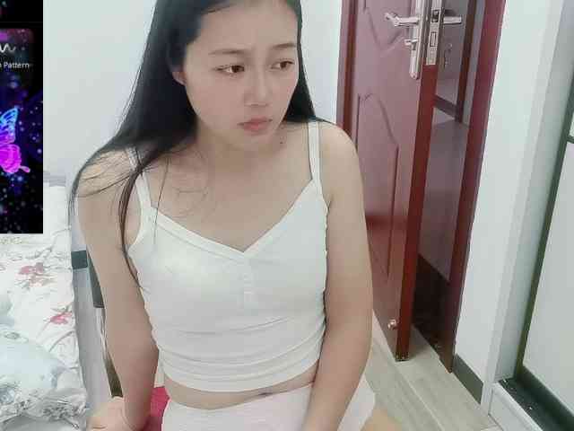 panda-sc231