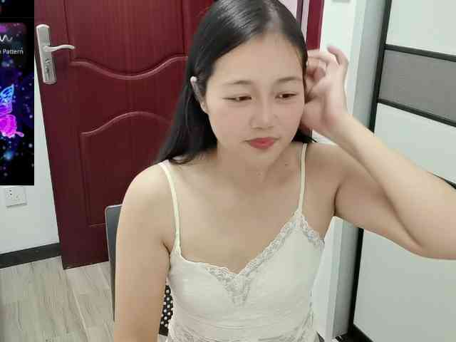 panda-sc231