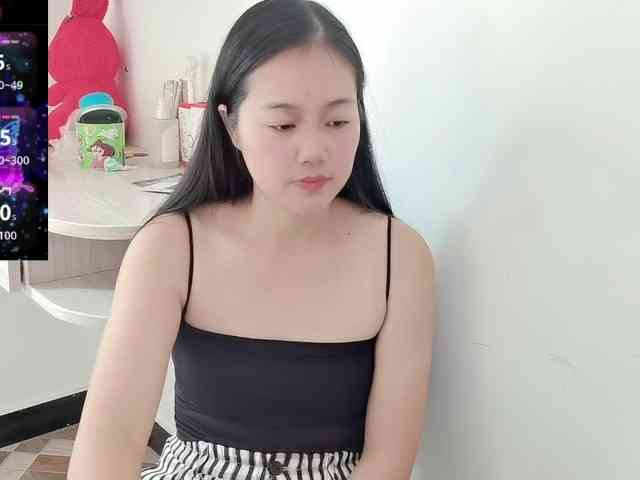 panda-sc231
