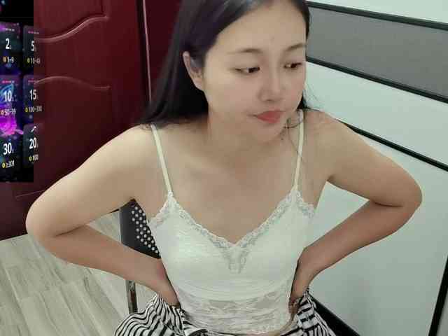 panda-sc231
