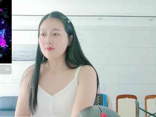 panda-sc231