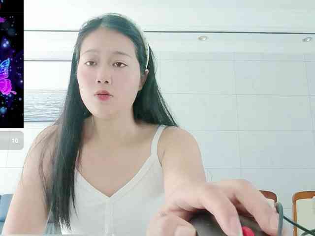 panda-sc231