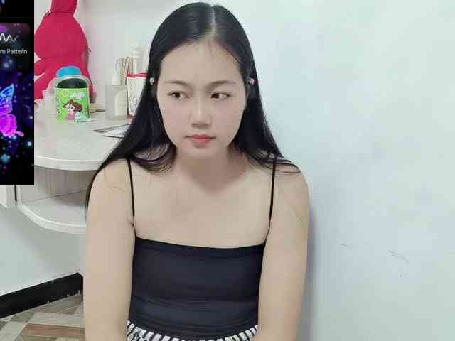 panda-sc231