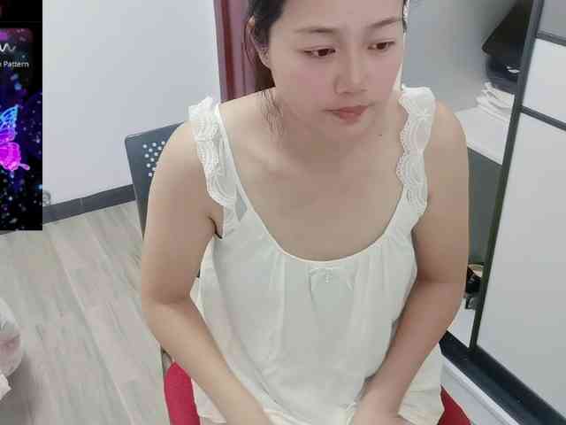 Model: panda-sc231