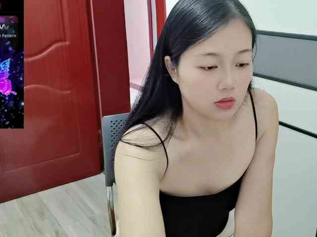 panda-sc231