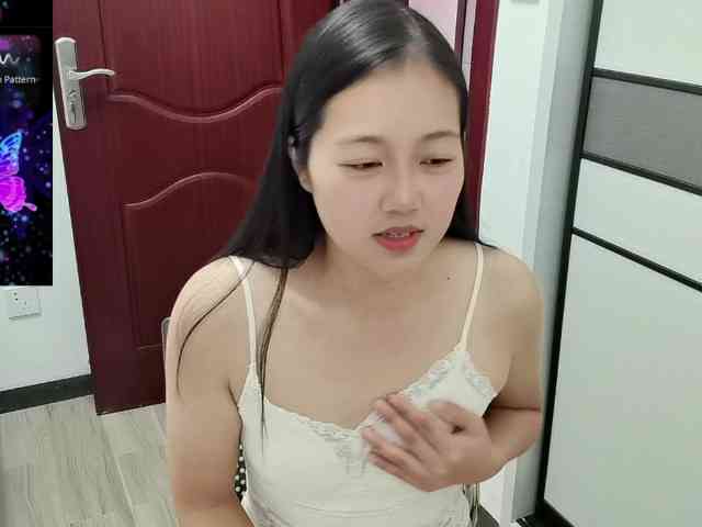 panda-sc231