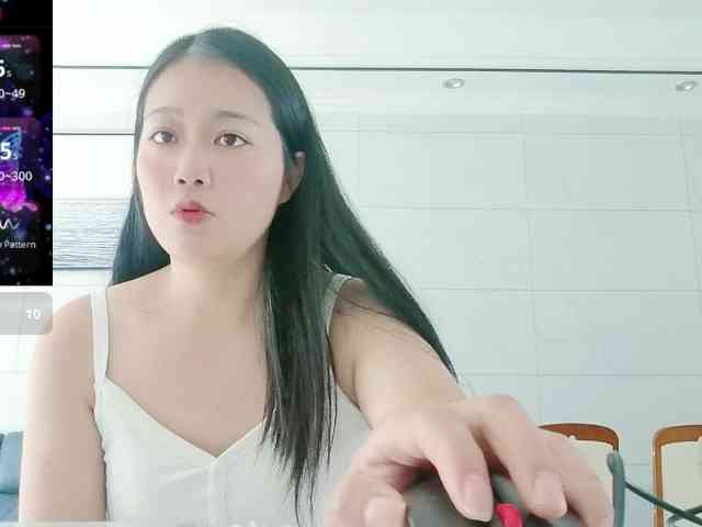 panda-sc231