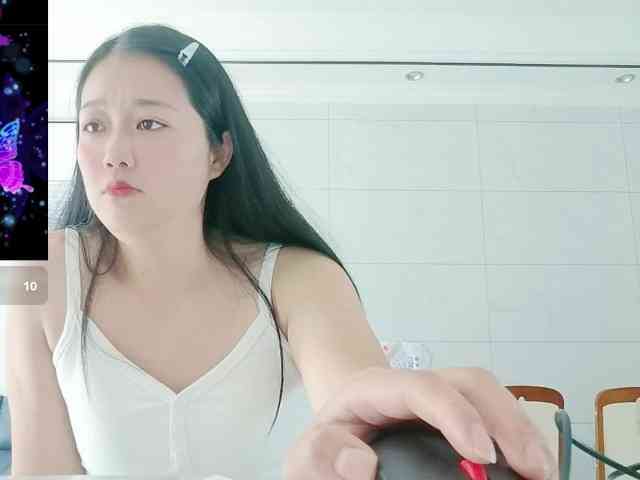 panda-sc231