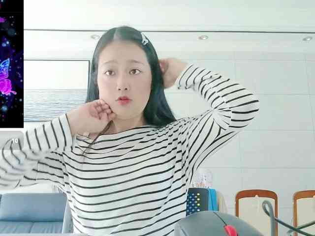 panda-sc231
