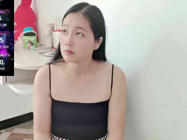 panda-sc231