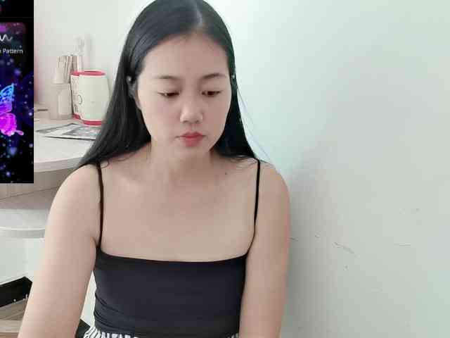 panda-sc231