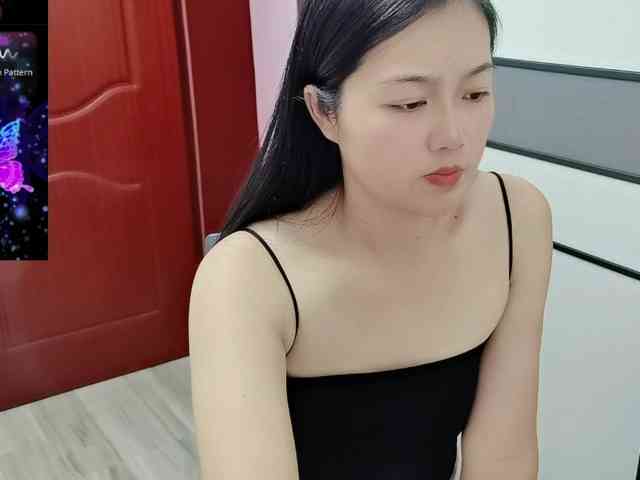 panda-sc231