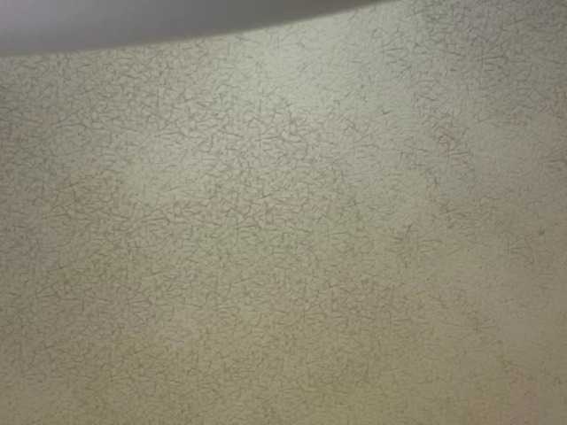 XochitlPeden live cam on BongaCams