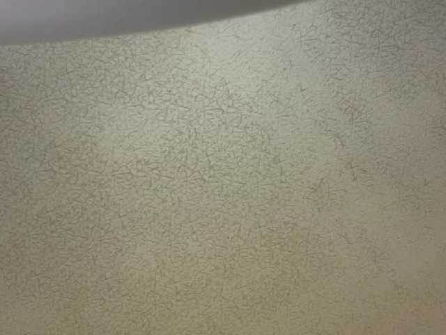 XochitlPeden live cam on BongaCams