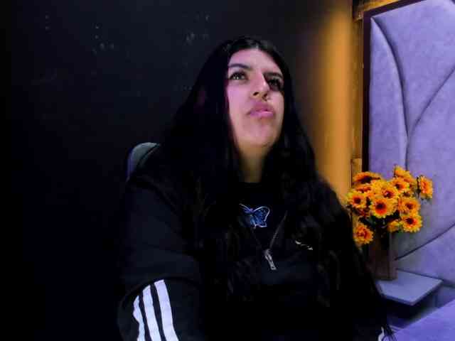 hammystevee