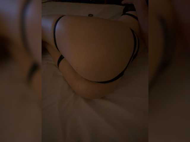 MaDiSS, modelo webcam