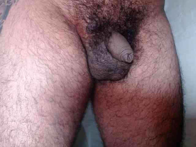 Smallcock2026