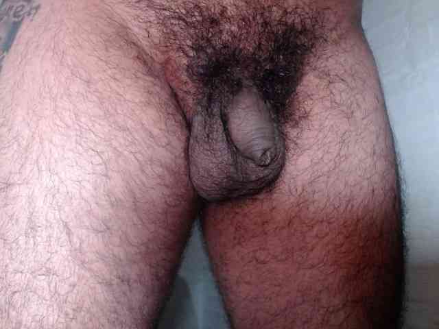 Smallcock2026