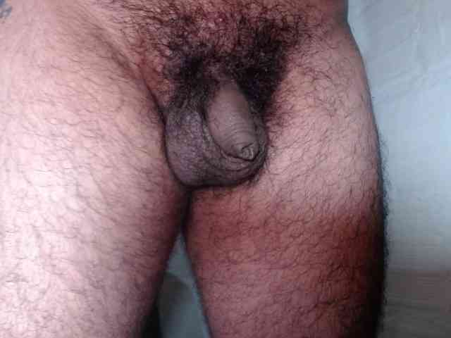 Smallcock2026