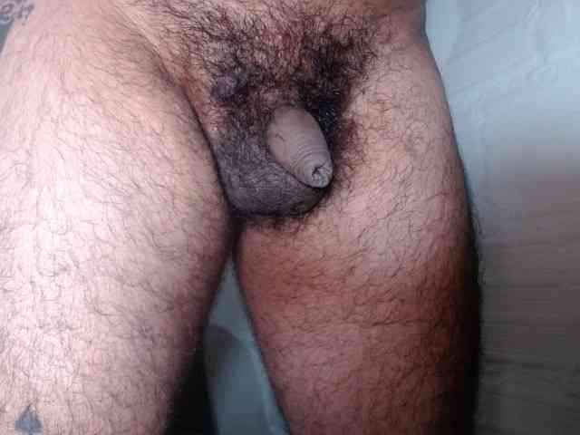 Smallcock2026