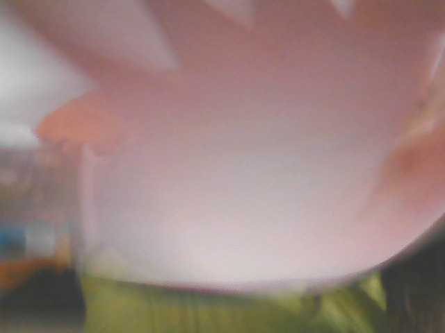 DaddysLittleSecret live cam on BongaCams