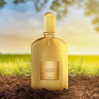 Tom Ford Black Orchid