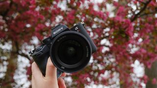 Sony A7R VI