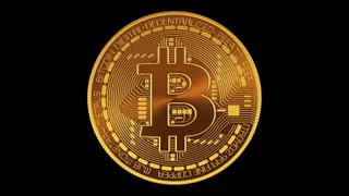 HODL support