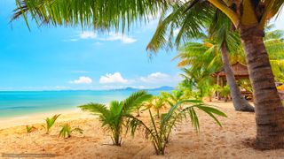 I want to go to MIAMI