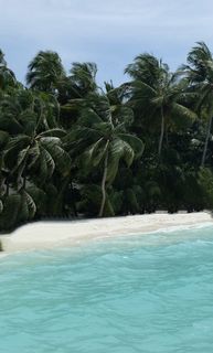 CarolinaDi wish list item 3 thumbnail