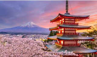 Trip to Japan