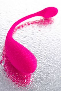 LOVENSE Lush 2