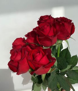 ПОДАРИТЬ ЦВЕТЫ/TO GIVE FLOWERS