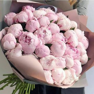 Are peonies my love language ✨?