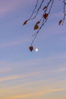 I dream of photographing a beautiful girl in a nude style