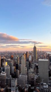 Trip to the city of dreams