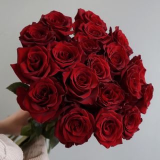 Roses for Kira!