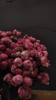 flowers for no reason?
