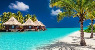 Dream Vacay