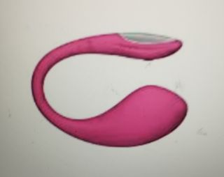 CharmingLady wish list item 1 thumbnail