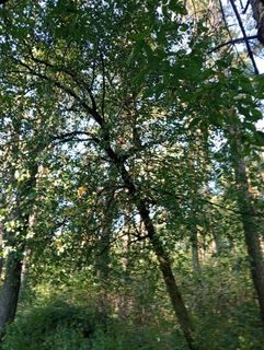 Кончить от дырочки